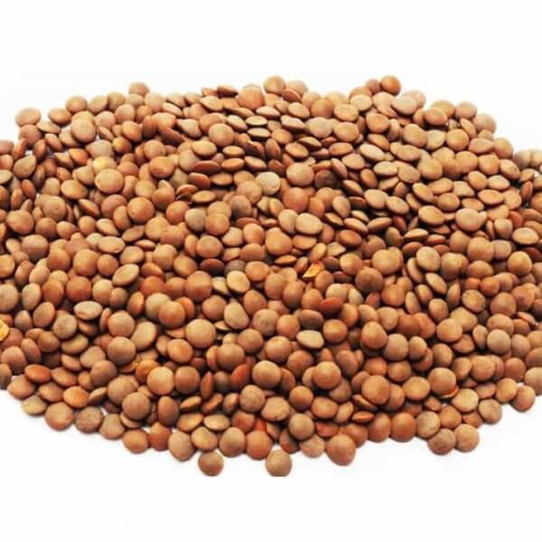 brown lentils recipe